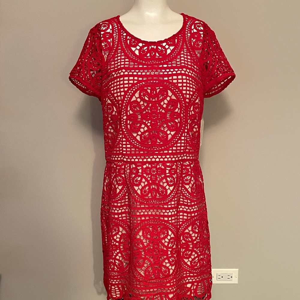 Boston Proper Red Dress Lace Illusion Sheath Size 14